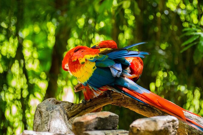 Park Xcaret Plus with Transportation from Cancun and Riviera Maya - Beach area, lagoon, and natural pools where you recharge