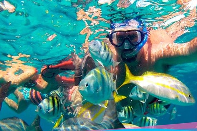 Party On Sailing Cruise to Isla Mujeres from Cancun - Isla Mujeres downtown: shopping, photos, and a golf cart you’ll have to rent