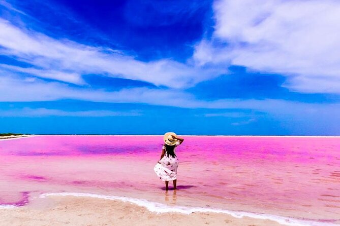 Pink Lake and Flamingo Sightseeing in Rio Lagartos - Price and value: what’s included, what’s extra