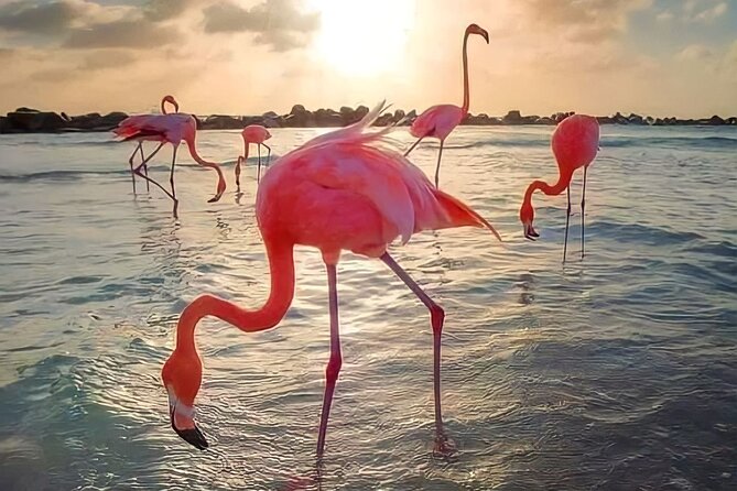Pinktastic Lagoon Adventure Las Coloradas & Rio Lagartos from Cancun - Río Lagartos boat ride: mangroves, wildlife spotting, and Biosphere Reserve context
