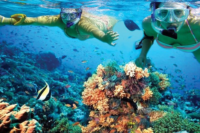 Plus Experience Isla Mujeres Tour - Beach club + open bar: the easy comfort part of the day