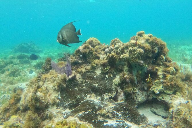 Premium Isla Mujeres Tour by Private Catamaran - Isla Mujeres: artisan streets, free time, and Playa Norte ideas