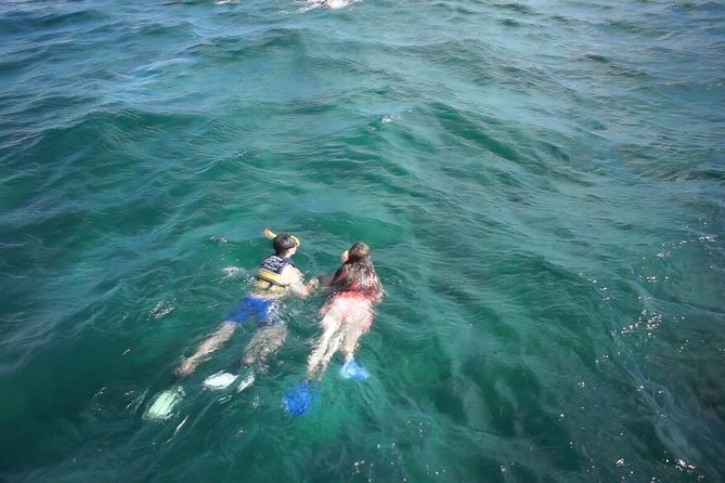Private Catamaran Experience from Cancun to Isla Mujeres! - Price and What It Really Buys You