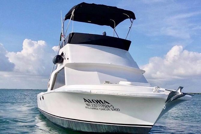 Private fishing charter Bertram 31ft 6 pax max if you don't fish you don't pay - When conditions change: weather, seasickness, and early returns