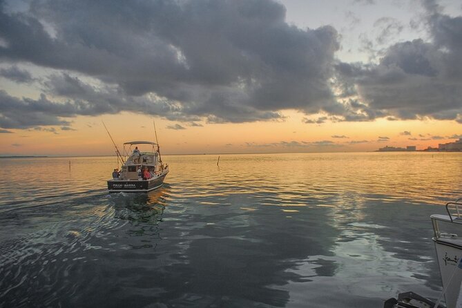 Private Half-Day Sport Fishing Charter in Cancun - What you’ll fish for in Cancun waters
