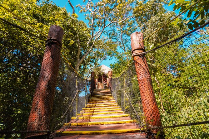 Private Jungle Adventure tour: Zipline + Rappel + Cenote - A 4-Hour Private Jungle Circuit From Your Doorstep