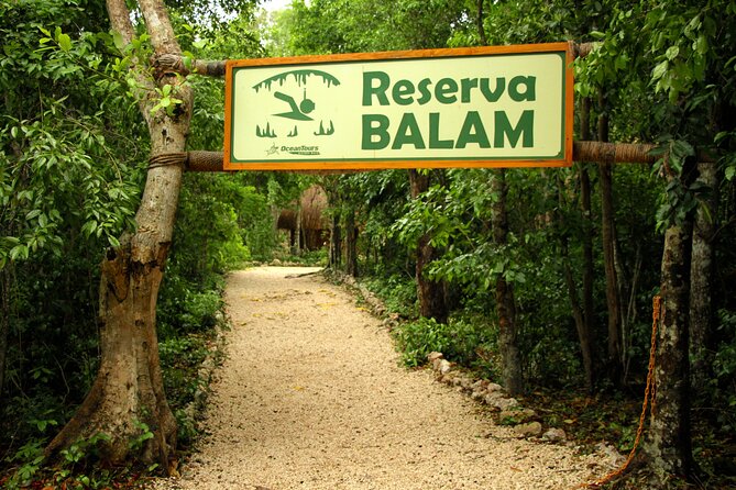 Private Jungle Adventure tour: Zipline + Rappel + Cenote - Snorkel in Crystal-Clear Cenote Waters