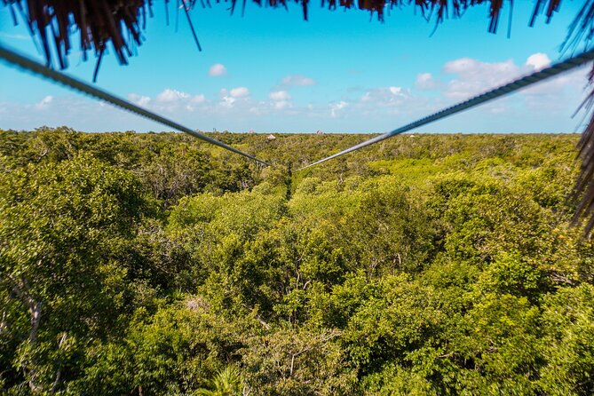 Private Jungle Adventure tour: Zipline + Rappel + Cenote - Guides, Equipment, and What Safety Really Means Here