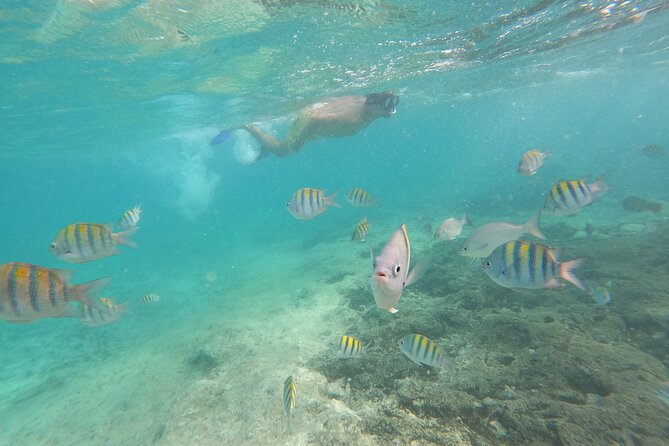 Private MUSA Snorkeling Experience at Isla Mujeres and Cancun - GoPro photos: fun extras, but they cost extra