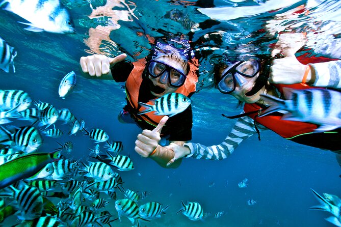 Private MUSA Snorkeling Experience at Isla Mujeres and Cancun - Boat comfort and what’s included on board (and what’s not)