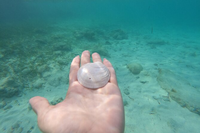 Private MUSA Snorkeling Experience at Isla Mujeres and Cancun - The full flow: cruise, MUSA snorkeling, and a shallow swim stop