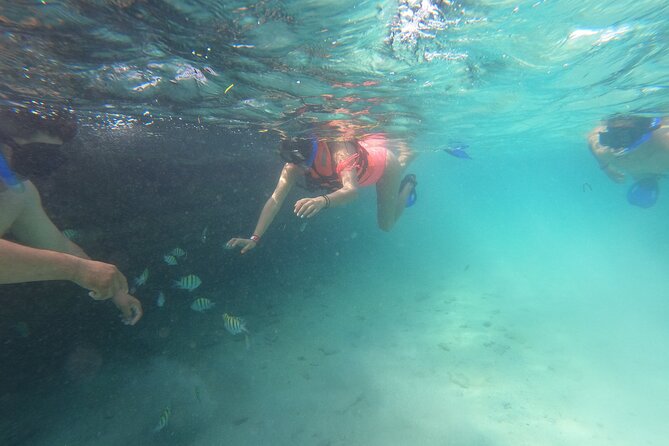 Private MUSA Snorkeling Experience at Isla Mujeres and Cancun - Museo Subacuatico de Arte: what you’re seeing under the surface