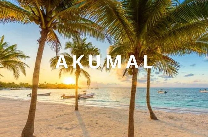 Private one-way airport transfer from Cancun - Akumal. - Comfort Details That Actually Help After Flying