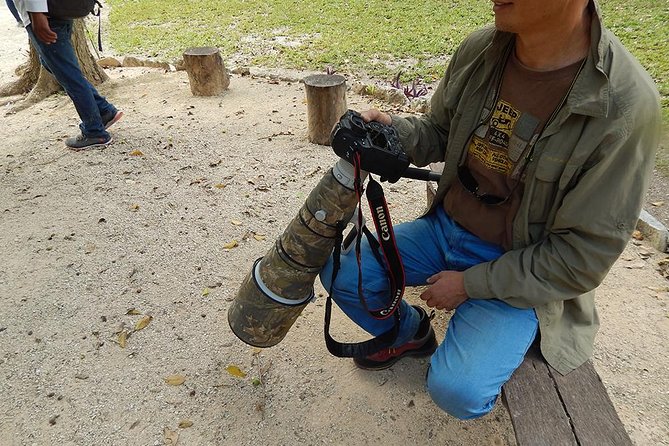 Private Tour: Birdwatching from Cancun - Why This Cancun Bird Tour Works Better Than Trying on Your Own