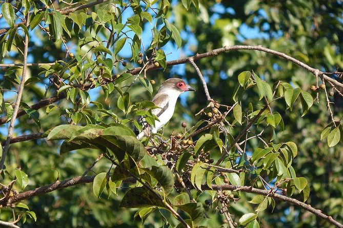 Private Tour: Birdwatching from Cancun - Food and Comfort: The Included Snack Isn’t a Meal, but It Helps
