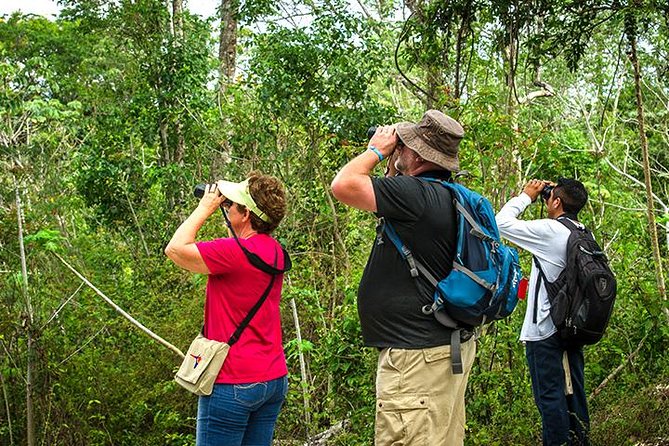 Private Tour: Birdwatching from Cancun - Pickup Timing and Meeting Points: Plan for a Real Morning