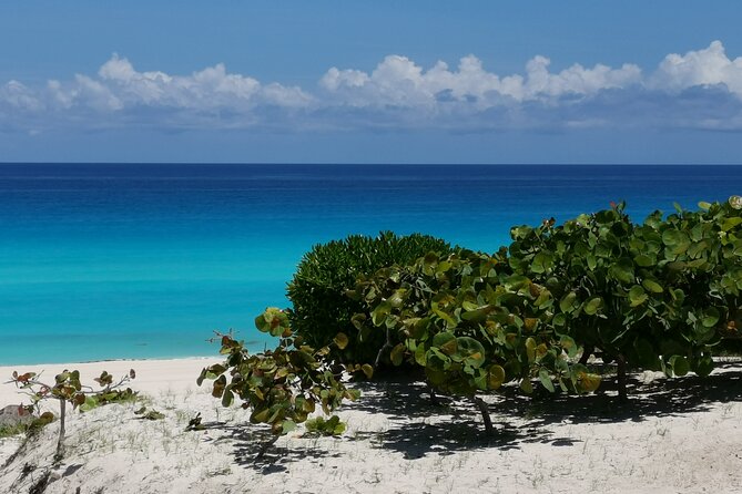 Private Transfer-Cancun Airport-Playa del Carmen One Way - The drive comfort: A/C, cold drinks, and a van that’s ready for you