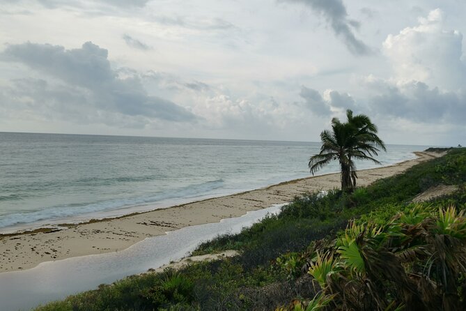 Private Transfer-Cancun Airport-Playa del Carmen One Way - Who this transfer is best for (and who should think twice)