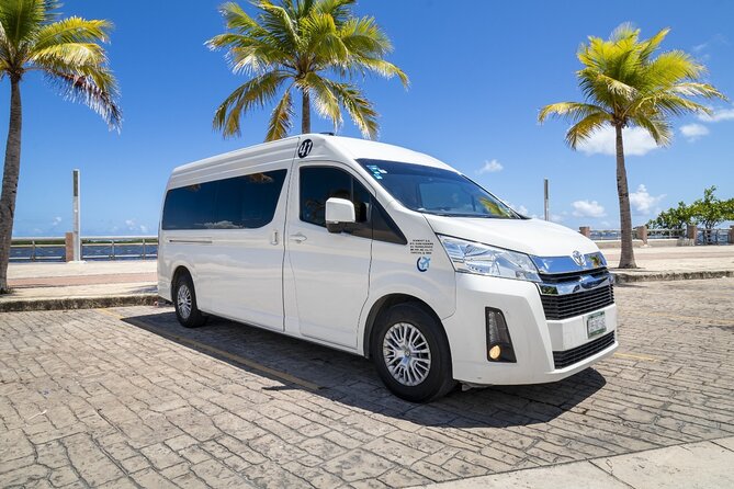 Private Transportation From Cancun Airport - Government Fees (MX$500): The Part to Get Clear