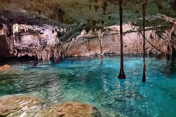 Private Tulum Experience & Cenote - Key highlights you’ll actually care about