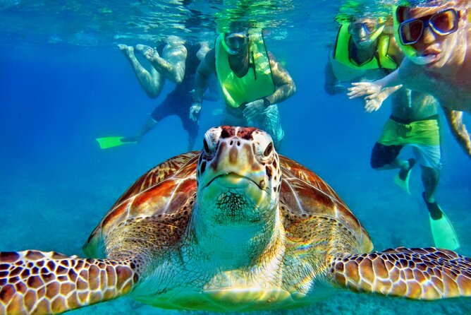 Private Tulum Mayan Ruins & Swimming with Turtles Experience - Who this tour suits best (and who should think twice)
