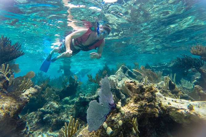 Private Tulum Ruins, Reef Snorkel & Cenote Adventure - Morning logistics: pickup, timing, and getting there