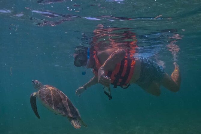 Private VW Beetle Tour Swim with Turtles, Visit Tulum Ruins&Town - Key Things I’d Put on Your Radar