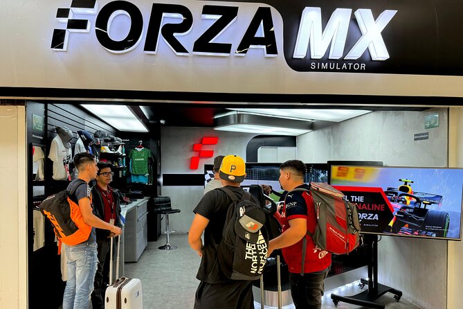 Professional racing simulator - Price and Value: Why This Can Be Worth It