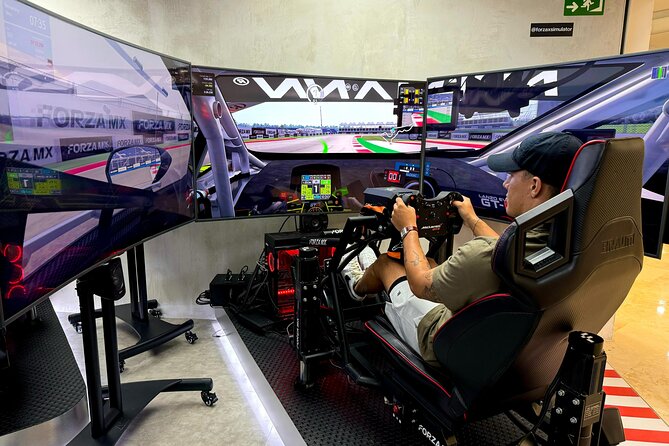 Professional racing simulator - Who This Suits Best (and Who Might Skip It)