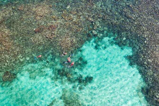 Puerto Morelos Catamaran Reef Sail and Snorkel - Timing, pickup, and the 8:30am rhythm