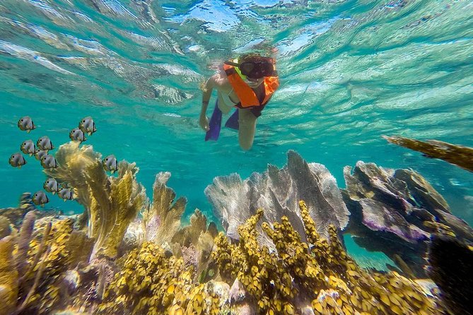 Puerto Morelos Reef Snorkeling Tour with Lunch & Hotel Pickup - Price and the Real Cost: The $47 Ticket Plus Reef and Dock Fees