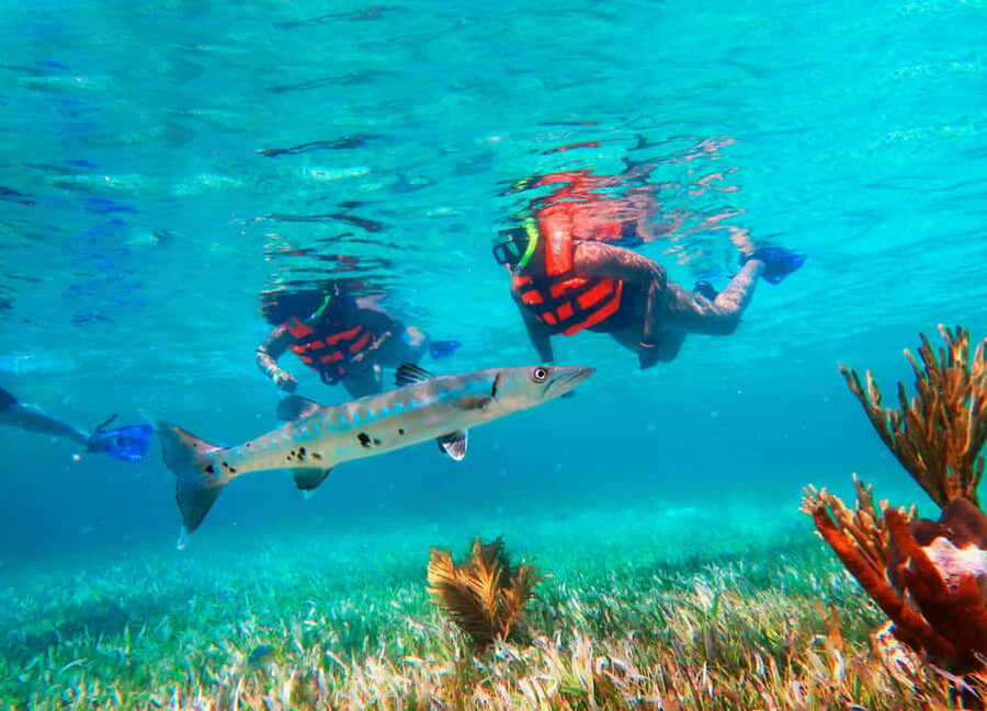 Puerto Morelos: Snorkel, Town Walk, Tequila & Beach Lunch - Puerto Morelos Reef: Why Snorkeling Right Off Town Works