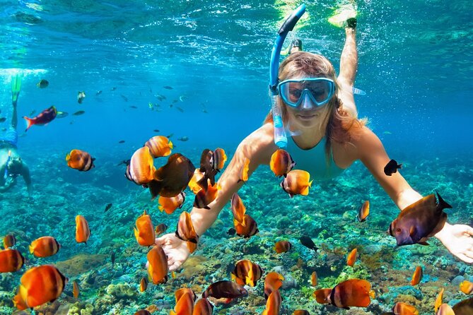 Puerto Morelos Snorkel, Town Walk, Tequila Tasting & Beach Lunch - Snorkeling the Great Maya Reef near Puerto Morelos