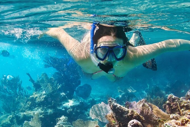 Puerto Morelos Snorkel, Town Walk, Tequila Tasting & Beach Lunch - Guides in the water: safety and attention