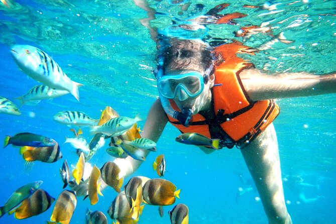 Puerto Morelos Snorkel, Town Walk, Tequila Tasting & Beach Lunch - Puerto Morelos town time after the reef
