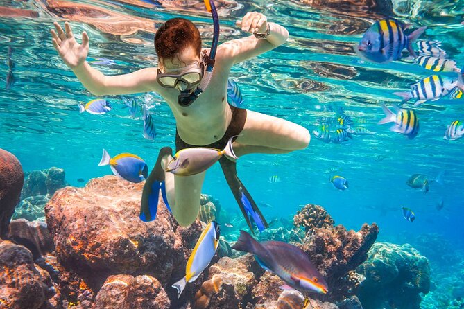 Puerto Morelos Snorkel, Town Walk, Tequila Tasting & Beach Lunch - Price and what your true cost might look like