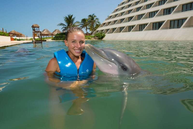 Punta Cancun: Swim with dolphins Interax - Key Things That Matter Most