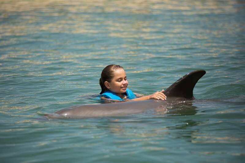 Punta Cancun: Swim with dolphins Interax - Punta Cancun Dolphin Swim: Why This Feels Different Than a Quick Encounter