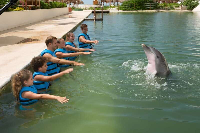 Punta Cancun: Swim with dolphins Interax - 45 Minutes Total: What Happens Before You Hit the Water