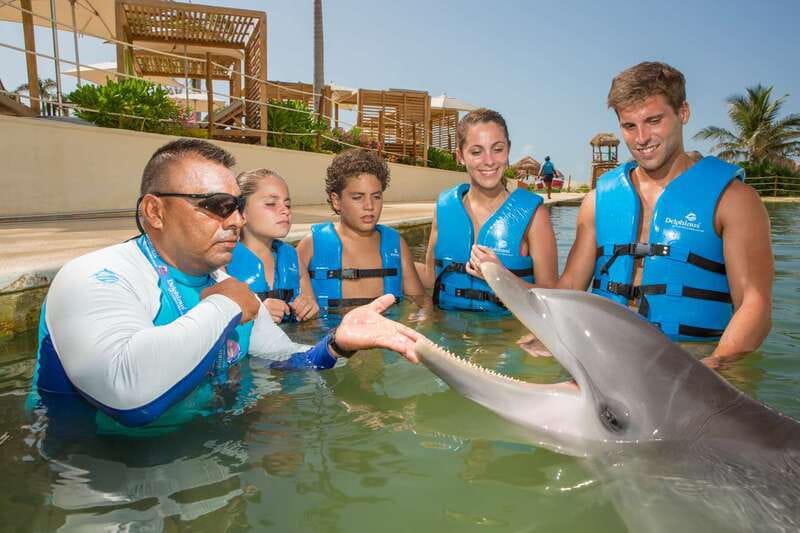 Punta Cancun: Swim with dolphins Interax - The Dolphin Kiss and Other Signature Moments