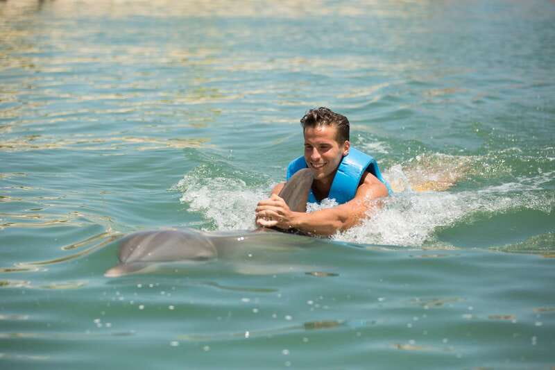 Punta Cancun: Swim with dolphins Interax - Meeting Inside Hyatt Ziva Cancun: Getting There Without Stress