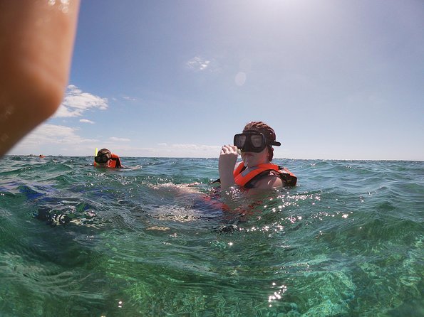 Reef Snorkel In National Park In Puerto Morelos With Lunch And Transportation - Puerto Morelos National Reef: what you’re really seeing