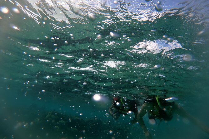 Reef Snorkel In National Park In Puerto Morelos With Lunch And Transportation - Price and value: what $44.25 covers, and what you should budget for