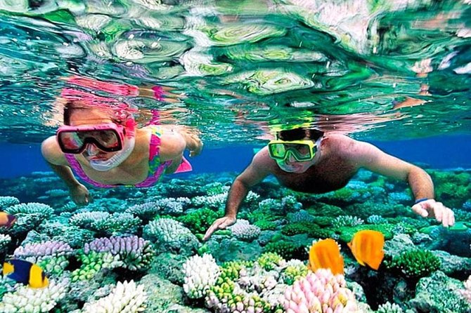 Reef Snorkel, underwater adventure in Puerto Morelos With Transportation & Lunch - Why Puerto Morelos Reef Snorkeling Feels Different Than “Cancun Tours”