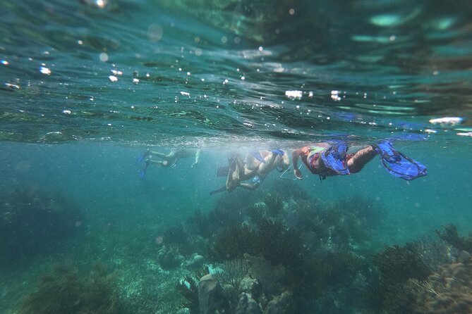 Reef Snorkel, underwater adventure in Puerto Morelos With Transportation & Lunch - Lunch and Snacks in Puerto Morelos: More Than a Break