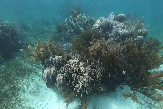 Reef Snorkel, underwater adventure in Puerto Morelos With Transportation & Lunch - The Main Trade-Offs: Photos, Rules, and One Extra Cost