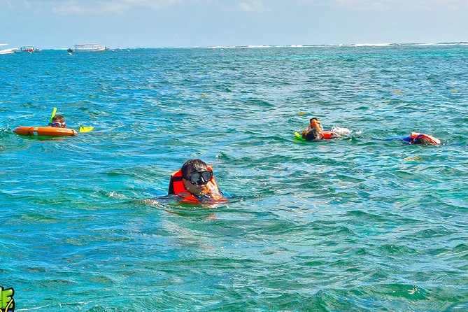 Reef Snorkeling in National Park from Cancun with Beachside Lunch - Stop 1: National Reef Park of Puerto Morelos (Your Main Event)
