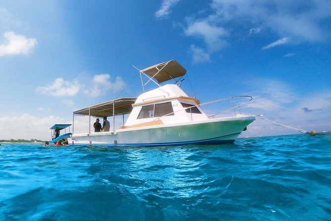 Reef Snorkeling in National Park from Cancun with Beachside Lunch - Photo and Video Sales: Optional, But Watch the Pressure