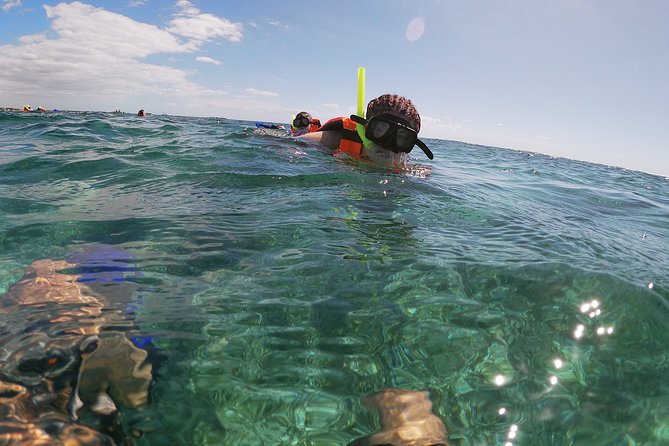 Reef Snorkeling with ATV, Zipline, Cenote that includes lunch and transportation - How the 8-hour Puerto Morelos route actually runs