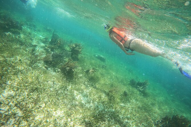 Reef Snorkeling with ATV, Zipline, Cenote that includes lunch and transportation - Price and what you may pay extra (dock fee, locker, photos)